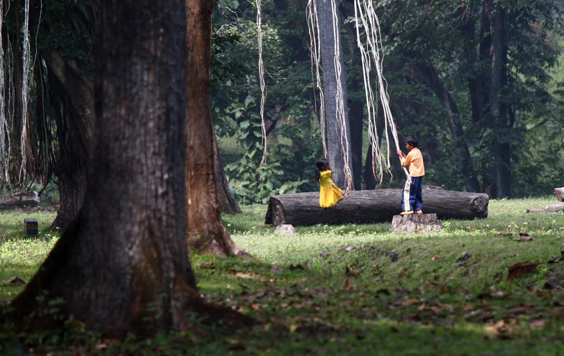 Dandeli Jungle