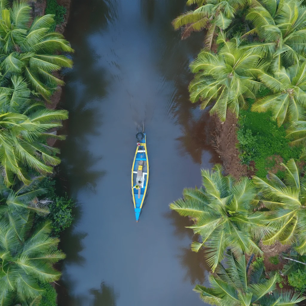 Aerial view of a boat on a palm-lined backwater in Goa
