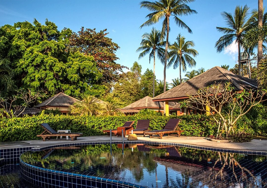 Round plunge pool set among palms and sun loungers at the Koh Samui resort.